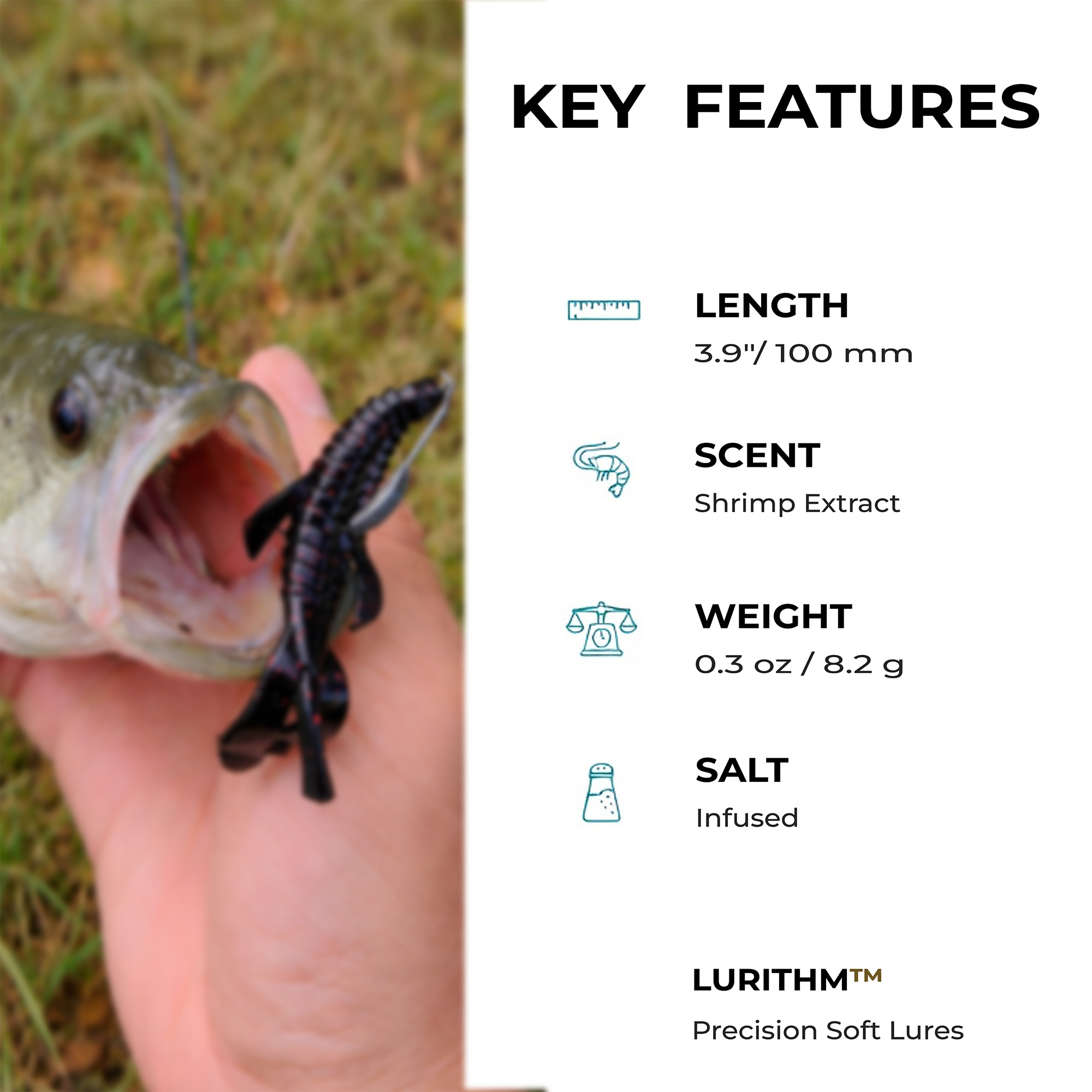 Pulse Craw - Image 6