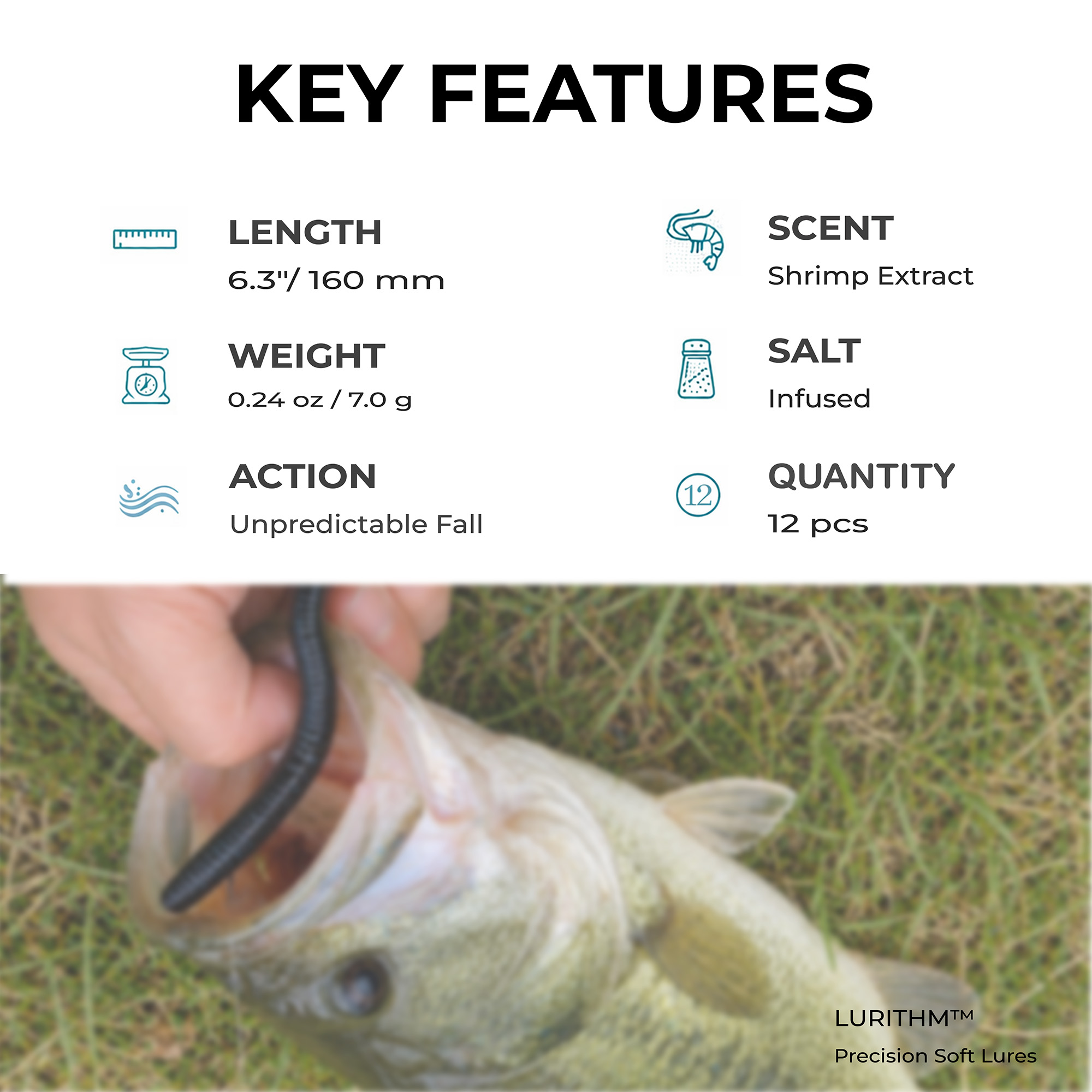 Ribbed Finesse Worm - Image 5